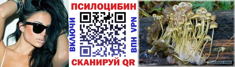 Галлюциногенные грибы Cubensis  где найти наркотики  Уссурийск 